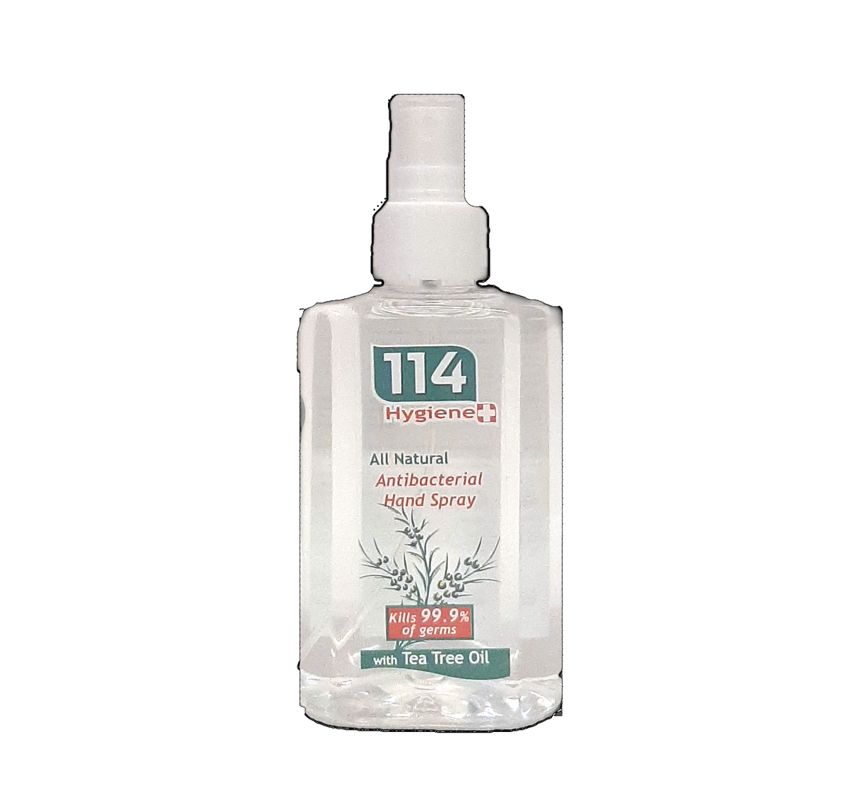 114 Hygiene Antibacterial Hand Spray 250mL coswecare
