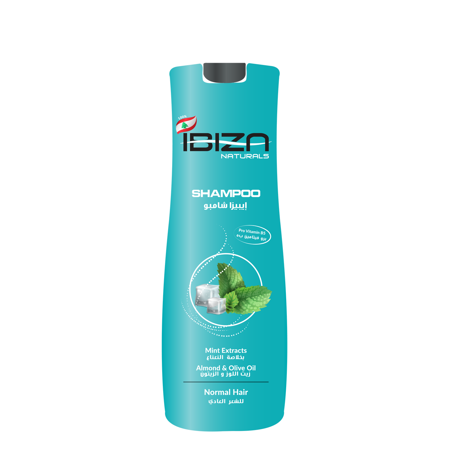 IBIZA Shampoo - Normal Hair 750mL